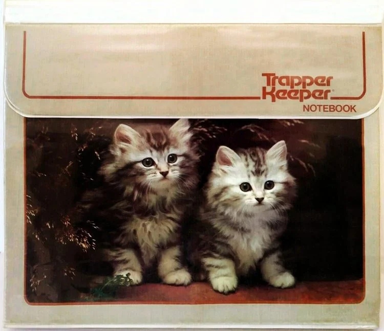 adorable kittens on trapper keeper