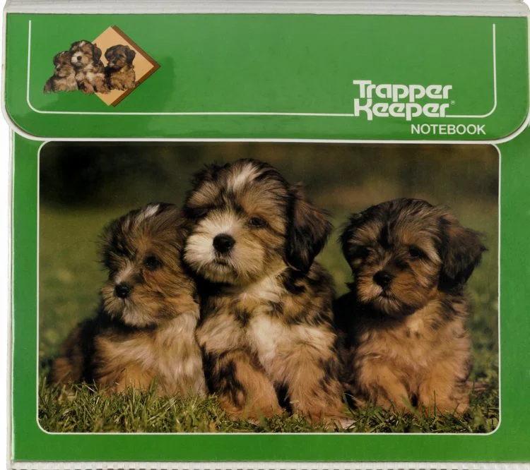 cute puppies on green trapper keeper